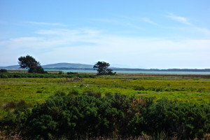 DSC02468