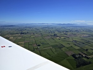 IMG_2216