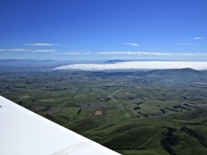 IMG_2218