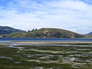 IMG_2307