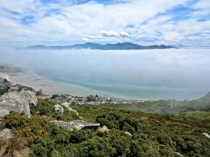 IMG_2323