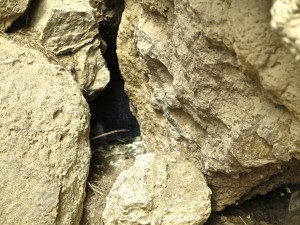 IMG_2361