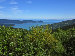 IMG_2601