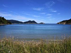IMG_2613
