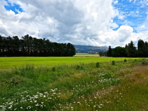 IMG_2790