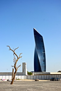 DSC02420