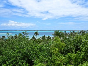 IMG_3992