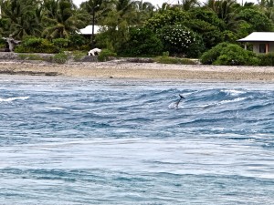 IMG_4082