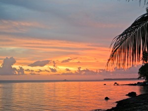 IMG_4084