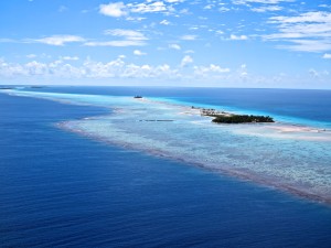 IMG_4255