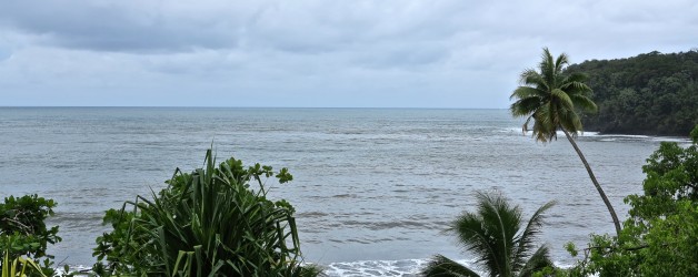 IMG_4362