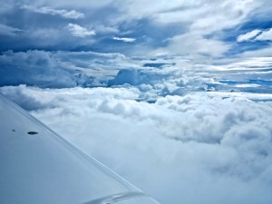 IMG_4919