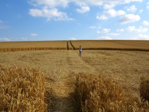 IMG_6973