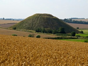 IMG_6980