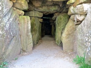 IMG_6977